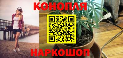 стаф Донецк