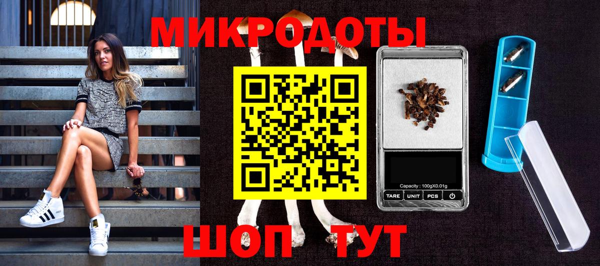 Псилоцибиновые грибы Psilocybe Лысьва
